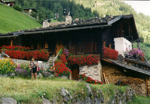 die Bergwelt Österreichs, von vielen Deutschen Urlaubern geliebt
