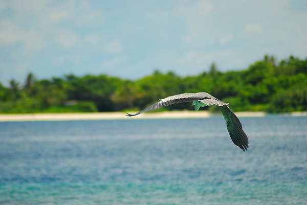 Soneva Fushi Resort & Residences