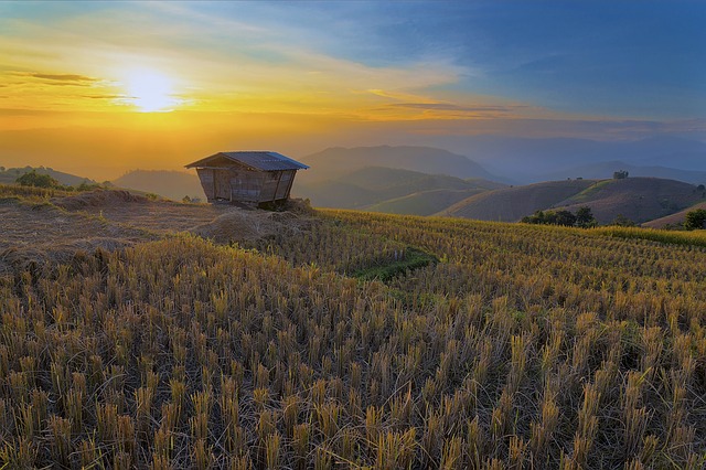 Den Norden Thailands entdecken