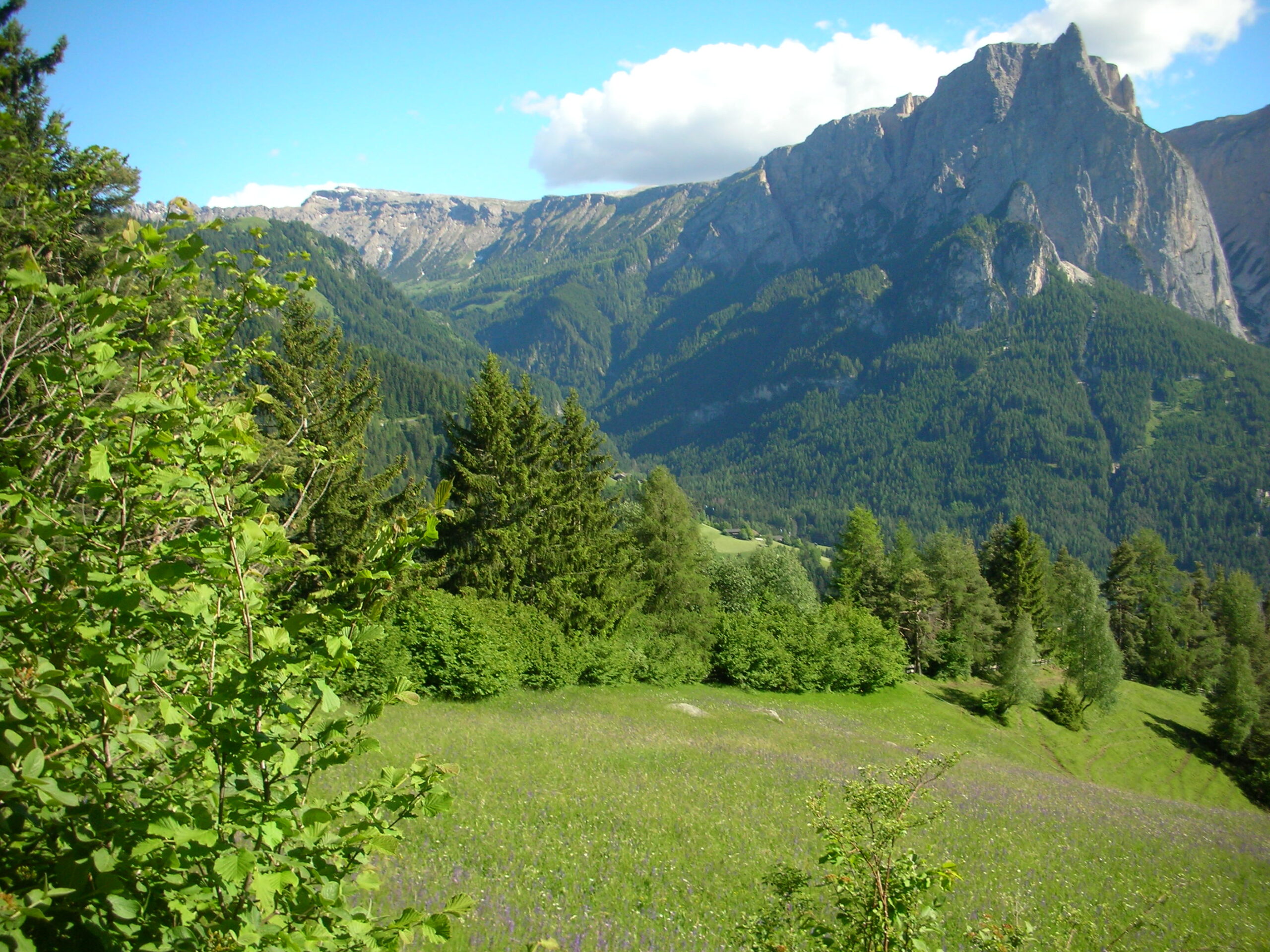 Wanderweg bei Seis in Südtirol